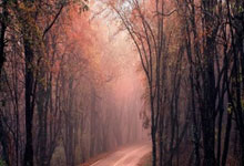 暑期關(guān)爱 | 清远妇联暑期關(guān)爱活动精(jīng)彩(cǎi)集锦