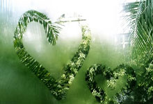 英冠比赛预测，比分预测