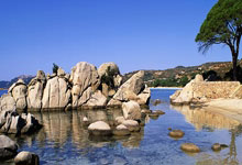 三地赛事指挥中心实现跨区域协同管理