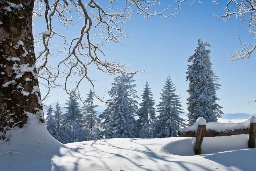 英雄联盟四川总决赛全球顶尖战队对决